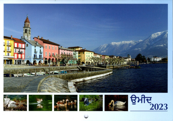 Wandkalender 2023 Punjabi